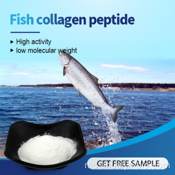 Harga borong Hydrolyzed protein collagen peptides serbuk
